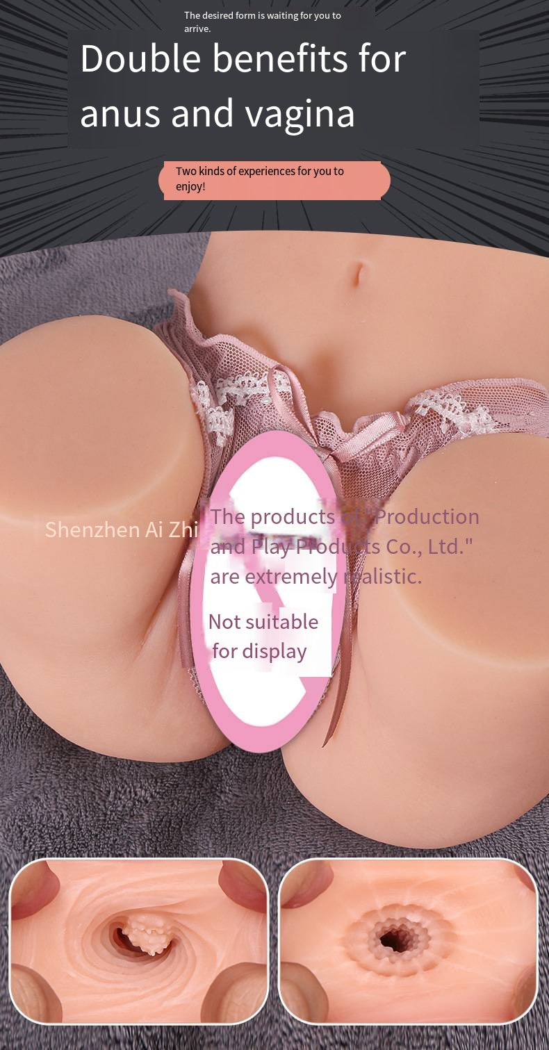 72d099db-23f8-477b-ac11-45bdb54e0bf6